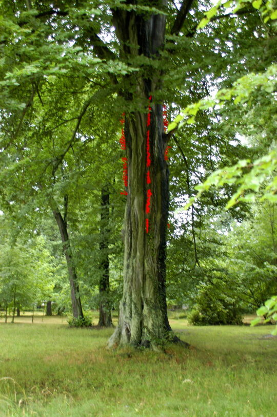 Moderne Kunst im Barpockpark von Uhyst - "Über Tage 2007"