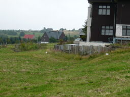 Bild: Alte Grenzsteine in einer Wiese am alten Grnezübergang in Zinnwald