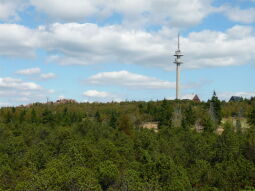 Bild: Blick von der Aussichtsbrücke im Schutzgebiet "Georgenfelder Hochmoor"