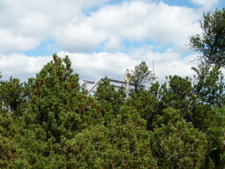 Bild: Die Aussichtsbrücke im Schutzgebiet "Georgenfelder Hochmoor"