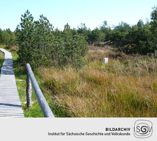 Grenzsteine am Weg im Schutzgebiet "Georgenfelder Hochmoor"