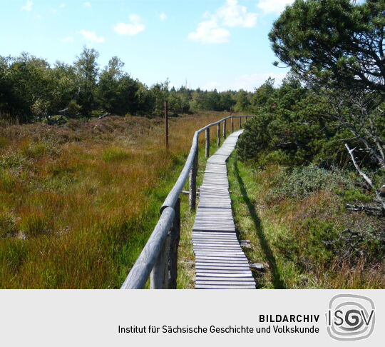 Grenzsteine am Weg im Schutzgebiet "Georgenfelder Hochmoor"