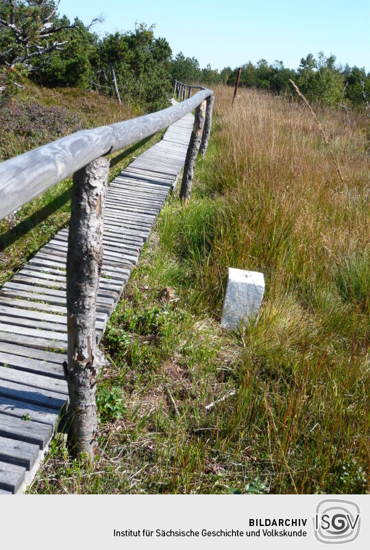 Grenzsteine am Weg im Schutzgebiet "Georgenfelder Hochmoor"