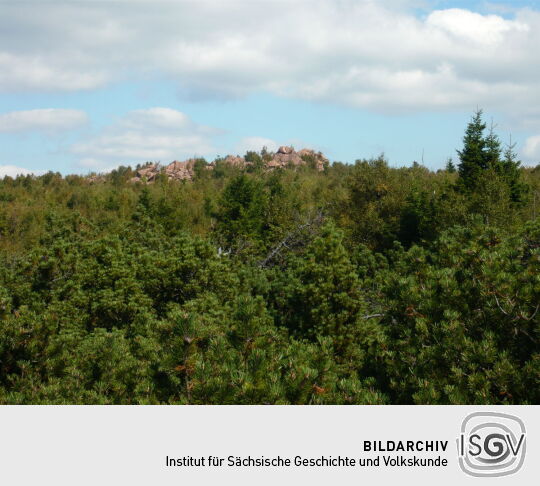 Blick zum Großen Lugstein aus dem Schuitzgebiet "Georgenfelder Hochmoor"