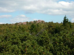 Bild: Blick zum Großen Lugstein aus dem Schuitzgebiet "Georgenfelder Hochmoor"