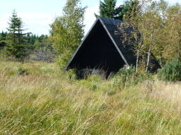 Bild: Die historische Moorhütte im Hochmoorschutzgebiet in Georgenfeld