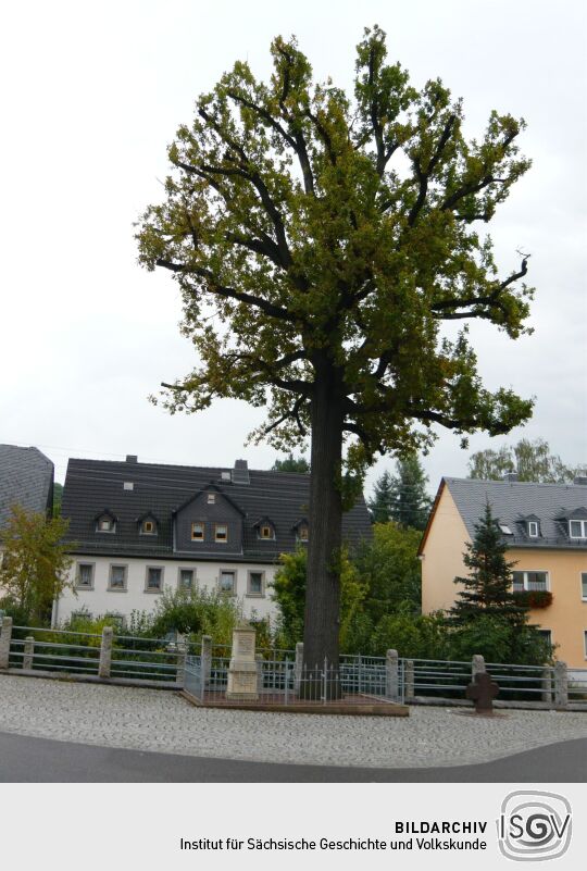 Denkmal am Anger in Clausnitz und Friedenseiche von 1871