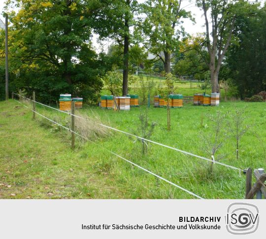 Bienenbeuten auf einer Wiese an der Dorfstraße in Altmittweida