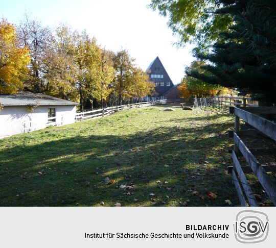 Alpakahof in Georgenfeld