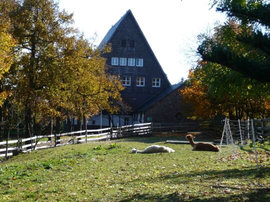 Alpakahof in Georgenfeld