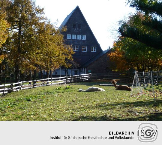 Alpakahof in Georgenfeld
