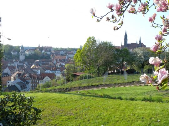 Meißen - Blick zur Stadt vom Kapellenweg Nähe Martinifriedhof