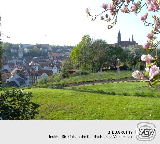 Meißen - Blick zur Stadt vom Kapellenweg Nähe Martinifriedhof