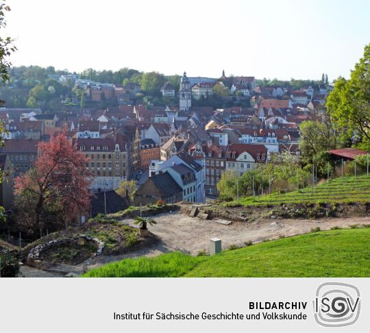 Meißen - Blick zur Stadt vom Kapellenweg Nähe Martinifriedhof