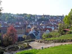 Bild: Meißen - Blick zur Stadt vom Kapellenweg Nähe Martinifriedhof