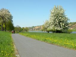 Bild: Meißen - Elbweg an Hochuferstraße / Kloster 'Heilig Kreuz' elbabwärts
