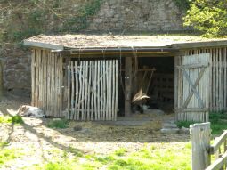 Bild: Meißen - Viehstall vom Hahnemannzentrum (im Kloster - Hochuferstaße)
