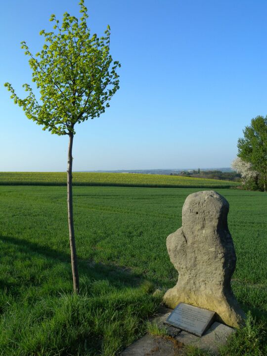 Wegkreuz mit Infotafel zwischen Bockwen und Reichenbach (Bild 21-23)