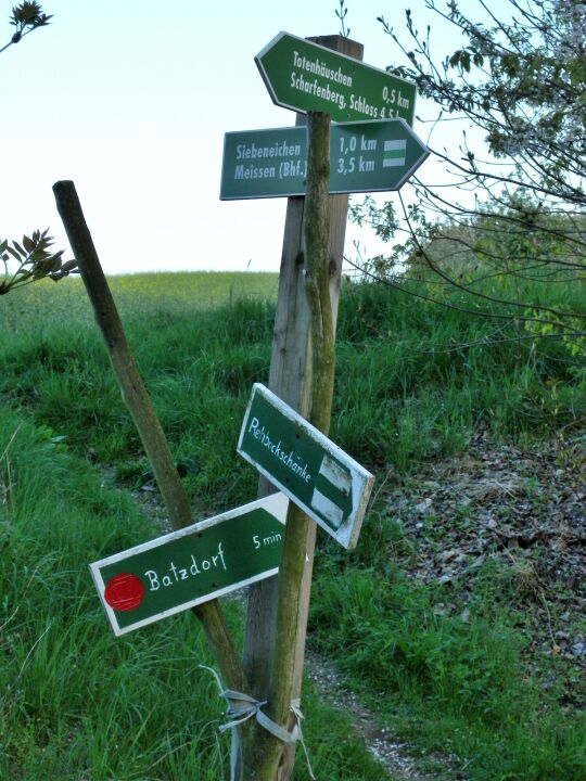 Totenhäuschen - Elbhang bei Batzdorf (Bilder 301336-58)